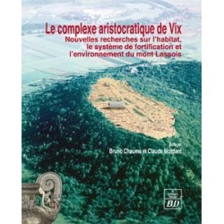 Le complexe aristocratique de Vix 