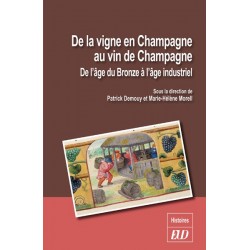 De la vigne en Champagne au vin de Champagne