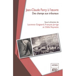 Jean-Claude Farcy à l'œuvre